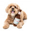 Peluche per cani FuzzYard Drool Light a forma di bottiglia di birra
