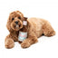 Peluche per cani FuzzYard Drool Light a forma di bottiglia di birra