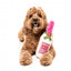 Peluche per cani FuzzYard bottiglia di vino Dog Day Rosé con squeaker