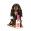 Peluche per cani FuzzYard bottiglia di vino Dog Day Rosé con squeaker