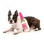 Peluche per cani FuzzYard bottiglia di vino Dog Day Rosé con squeaker