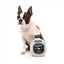 Peluche per cani FuzzYard bottiglia Dogquila con squeaker