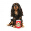 Peluche per cani FuzzYard lattina di birra Dog Beer con squeaker