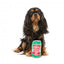 Peluche per cani FuzzYard lattina di birra Hound Hops con squeaker