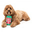 Peluche per cani FuzzYard lattina di birra Hound Hops con squeaker