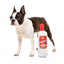 Peluche per cani FuzzYard bottiglia Pawdka
