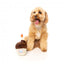 Peluche per cani FuzzYard cupcake di compleanno con squeaker