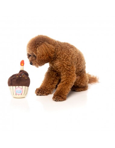 Peluche per cani FuzzYard cupcake di compleanno con squeaker