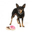 Peluche per cani FuzzYard ciambella, set da 2