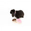 Peluche per cani FuzzYard ciambella, set da 2
