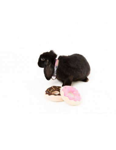 Peluche per cani FuzzYard ciambella, set da 2