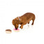 Peluche per cani FuzzYard ciambella, set da 2