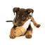 Peluche sonoro per cani FuzzYard gelato