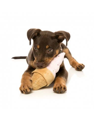 Peluche sonoro per cani FuzzYard gelato