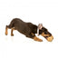 Peluche sonoro per cani FuzzYard gelato