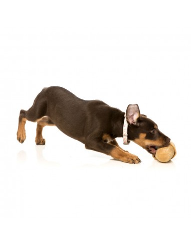 Peluche sonoro per cani FuzzYard gelato