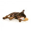 Peluche sonoro per cani FuzzYard gelato