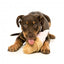 Peluche sonoro per cani FuzzYard gelato