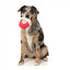 Peluche sonoro per cani FuzzYard Cupcake You're Pawsome