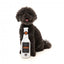 Peluche di Halloween per cani FuzzYard Creepy Critter Cider