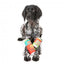 Peluche natalizio per cani FuzzYard Christmas Seltzers, confezione da 2