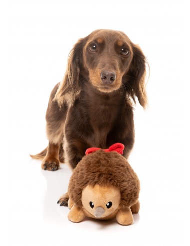 Peluche natalizio per cani FuzzYard Errol Echidna