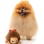 Peluche natalizio per cani FuzzYard Errol Echidna