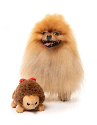 Peluche natalizio per cani FuzzYard Errol Echidna