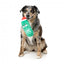 Peluche natalizio per cani FuzzYard Jolly Old St Pickl-ous