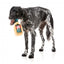 Peluche natalizio per cani FuzzYard Jolly Scotch