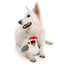Peluche natalizio per cani FuzzYard Ka-Tree-Na the Kookaburra