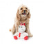 Peluche natalizio per cani FuzzYard Peppermint Electra