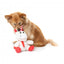 Peluche natalizio per cani FuzzYard Peppermint Electra