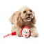 Peluche natalizio per cani FuzzYard So Long Santa