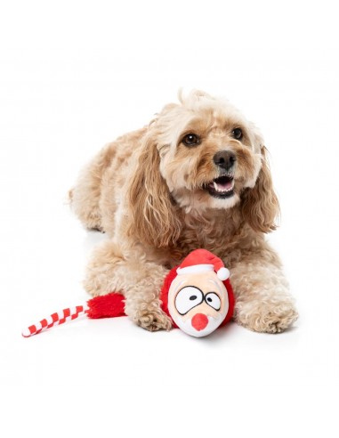 Peluche natalizio per cani FuzzYard So Long Santa