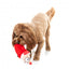 Peluche natalizio per cani FuzzYard So Long Santa