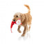 Peluche natalizio per cani FuzzYard So Long Santa