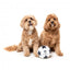 Peluche sonoro per cani FuzzYard Pallone da calcio