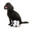 Peluche sonoro per cani FuzzYard Pallone da calcio