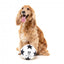 Peluche sonoro per cani FuzzYard Pallone da calcio