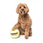 Peluche sonoro per cani FuzzYard Pallina da tennis