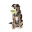 Peluche sonoro per cani FuzzYard Pallina da tennis