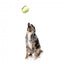 Peluche sonoro per cani FuzzYard Pallina da tennis