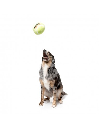 Peluche sonoro per cani FuzzYard Pallina da tennis