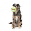 Peluche sonoro per cani FuzzYard Pallina da tennis