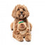 Peluche per cani FuzzYard Happybaras Cap-Ybara con squeaker