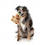Peluche per cani FuzzYard Happybaras Cap-Ybara con squeaker