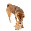Peluche per cani FuzzYard Happybaras Capy-Ccino con squeaker