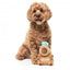 Peluche per cani FuzzYard Happybaras Capy-Ccino con squeaker