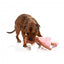 Peluche per cani FuzzYard Lankies Billie The Bear-Larina